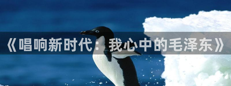 天顺娱乐彩票正规吗?