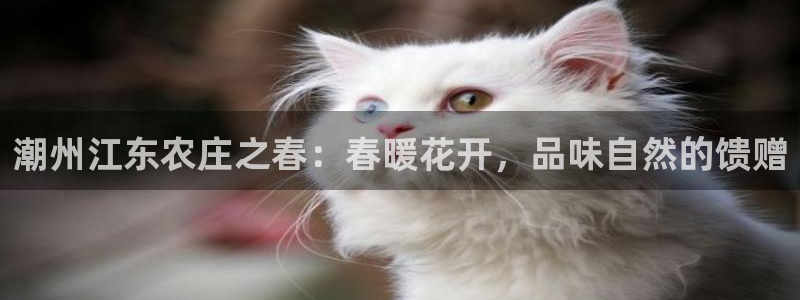 天顺娱乐a 内57661部