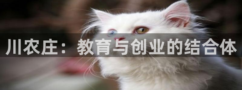 天顺娱乐出46 99系