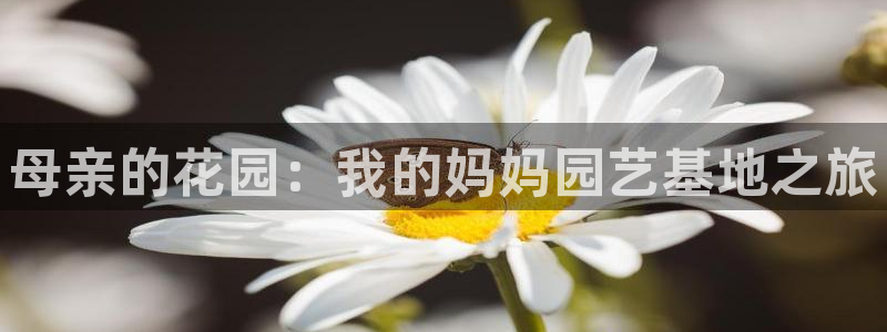 天顺娱乐上v96303