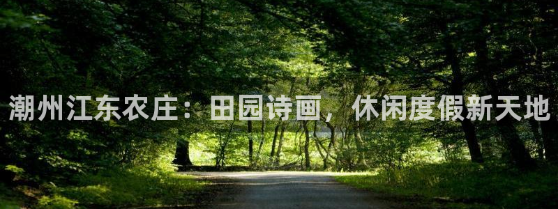 天顺娱乐 -多少钱p官58856