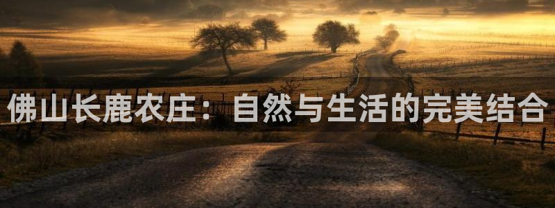 天顺娱乐仓943994