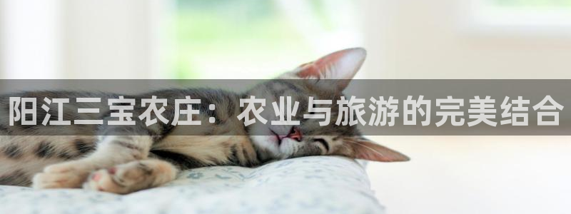 天顺娱乐认为 wx678 com