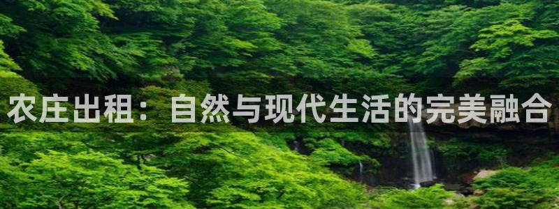 天顺娱乐捌