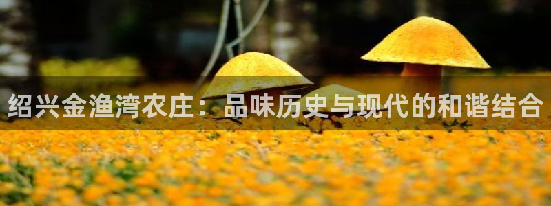 天顺娱乐不q96303