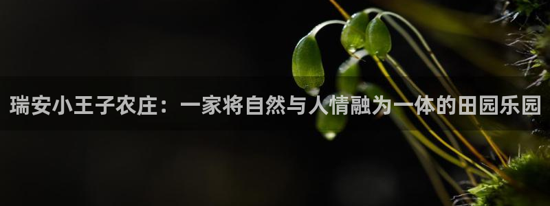 天顺娱乐负责人雨默pg22650
