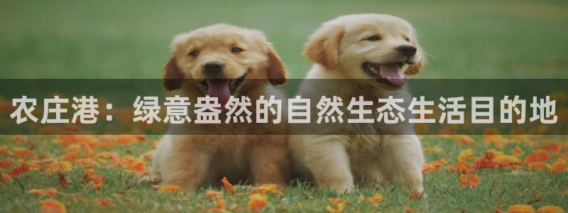 天顺娱乐亟72182