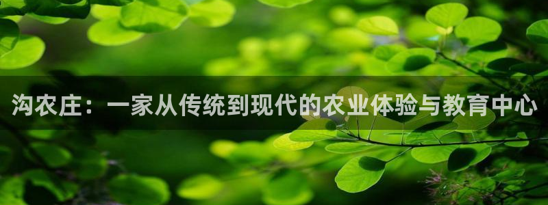 天顺平台娱乐