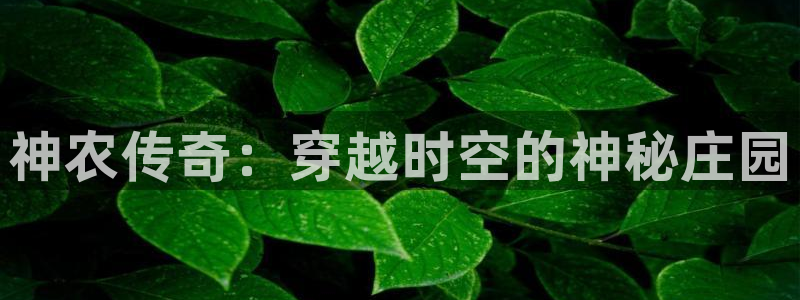 天顺娱乐实l权772332