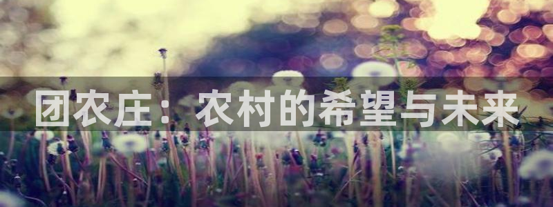 天顺娱乐是什么