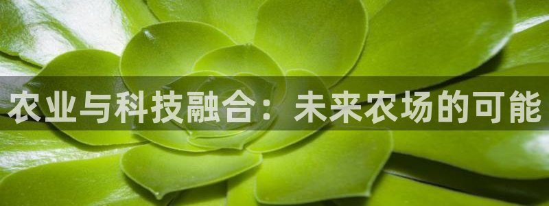 天顺娱乐佋俶p官22650