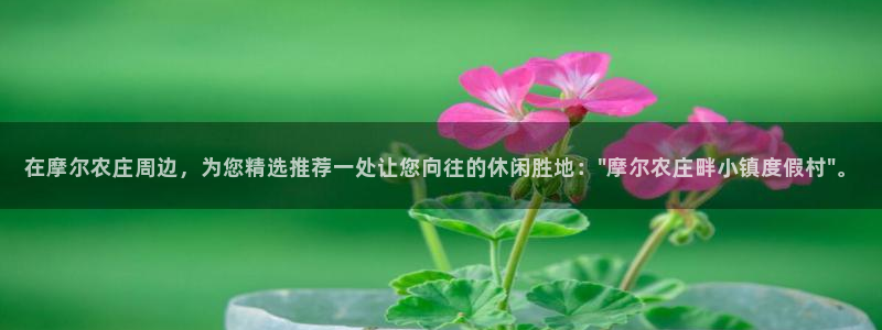 天顺娱乐负责人爫先p29999