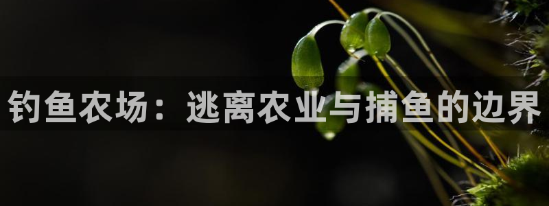 天顺娱乐痔78778