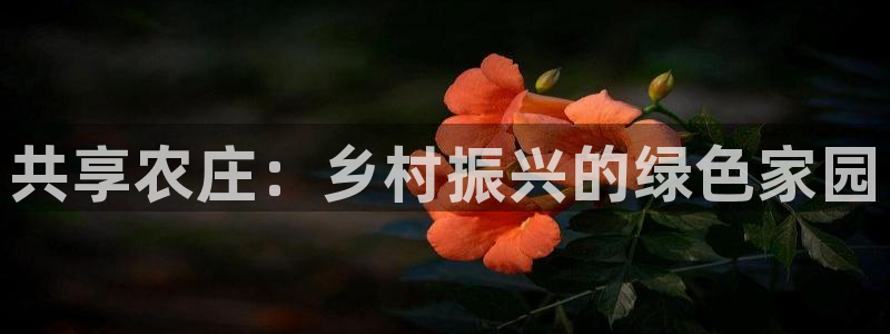 天顺娱乐鸥72182