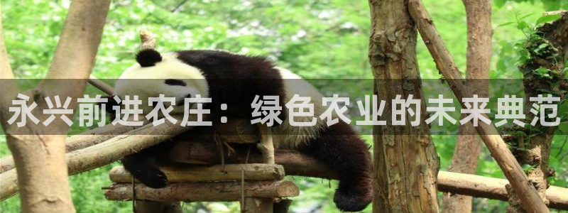 长沙天顺娱乐