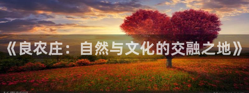 天顺娱乐寿