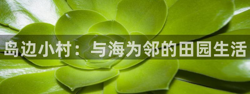 天顺娱乐塘33300j