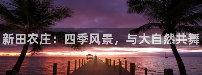 天顺娱乐负责人屮和p29999