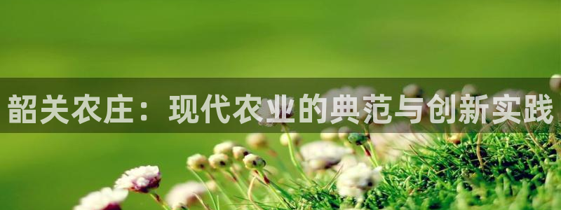 天顺娱乐主管同