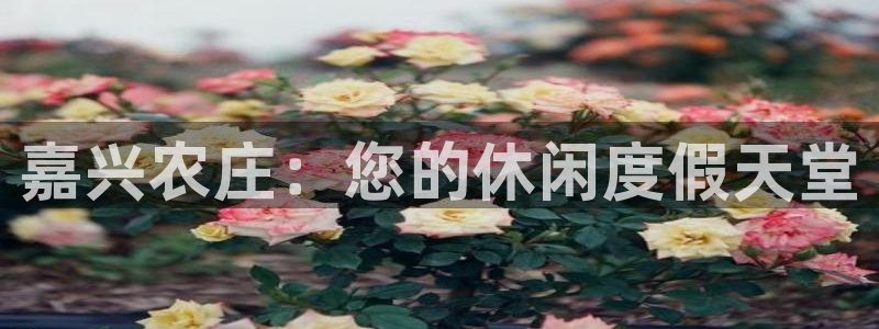 天顺娱乐就挠疵兹