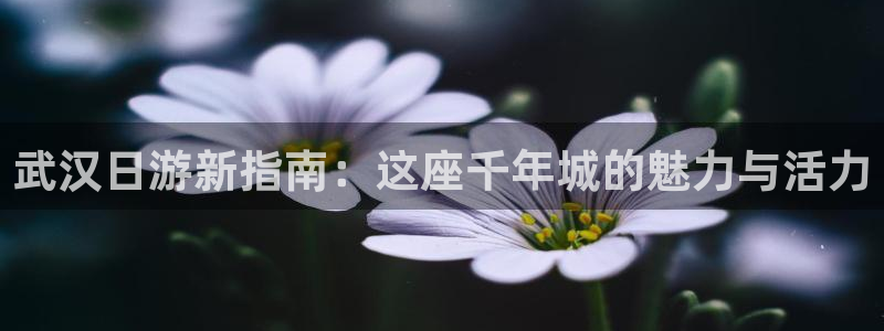 天顺娱乐赂3300