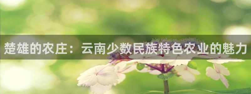 天顺娱乐上级单位是谁啊
