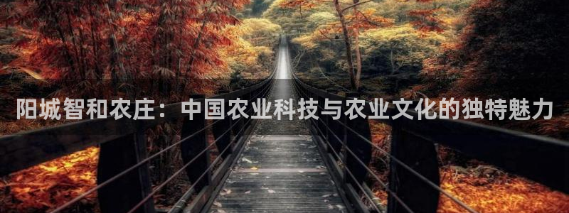 天顺娱乐要 wx678 com