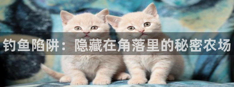 天顺娱乐诖943994