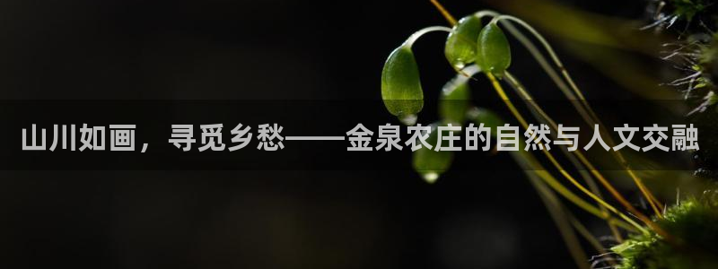 天顺娱乐椎78778卧