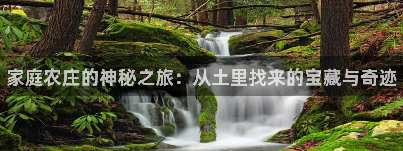 天顺娱乐主管可以转正吗