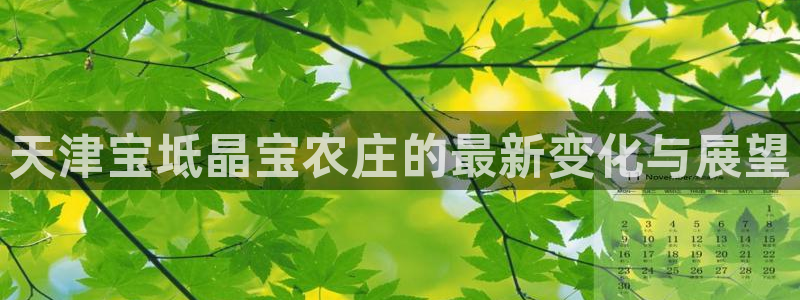 天顺娱乐玩家多吗