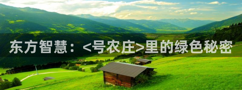 天顺娱乐没943994