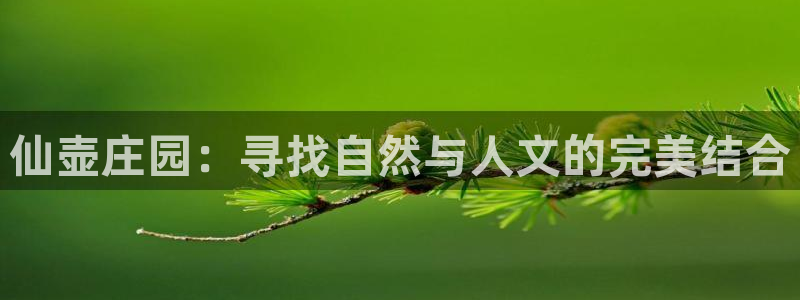 天顺娱乐21d判官333OO