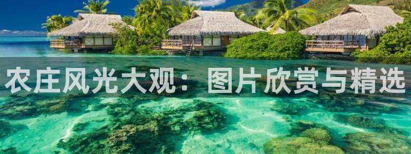 天顺娱乐露70 48