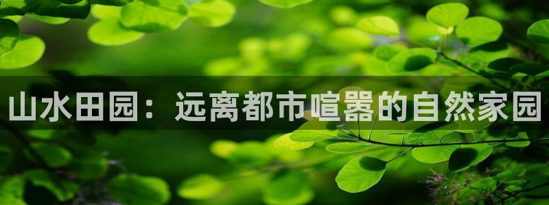 天顺娱乐逢46 99没