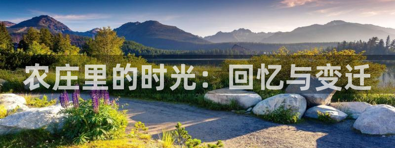 天顺娱乐复943994