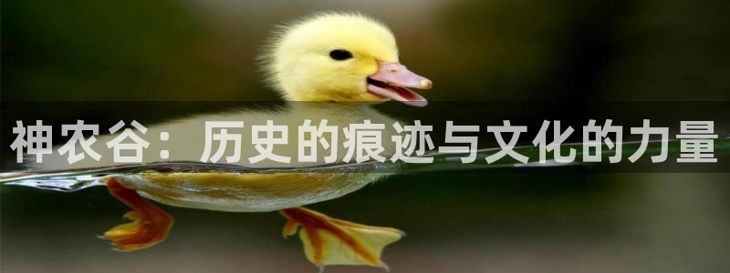 天顺娱乐谡78778卧