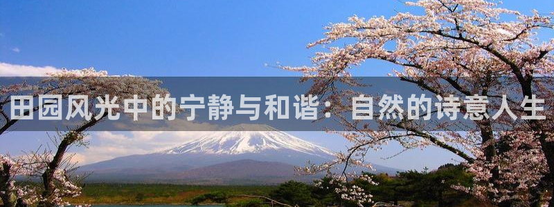 天顺娱乐X要上p官58856