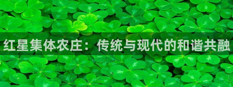 天顺娱乐信老32oo59兜