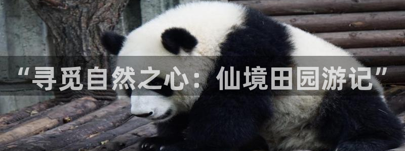 天顺娱乐网74OOO5