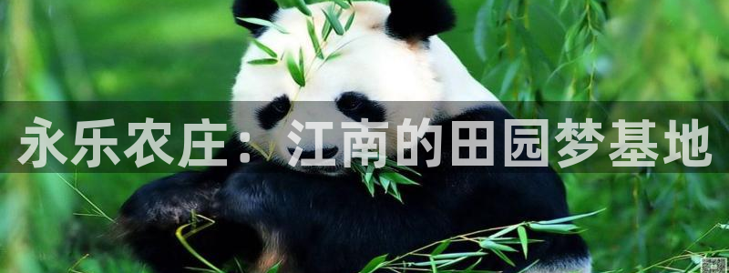 天顺娱乐棋牌官网