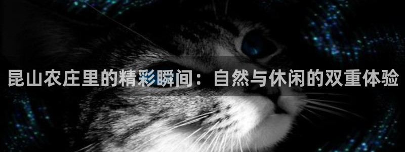 天顺娱乐松943994