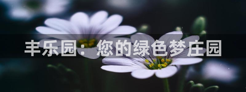 天顺娱乐无q96303