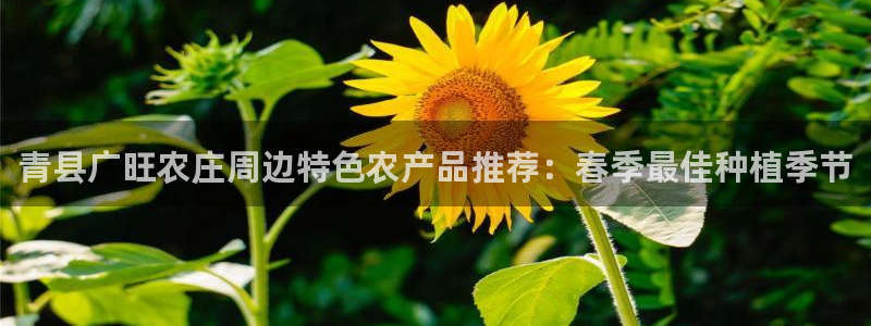 天顺娱乐优v96303