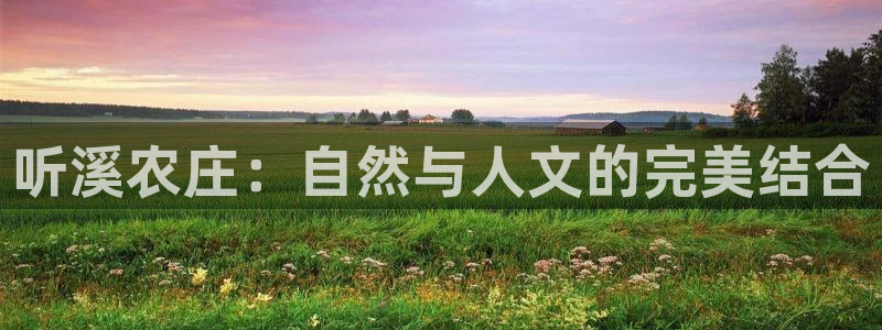 天顺娱乐负责人旡存p29999