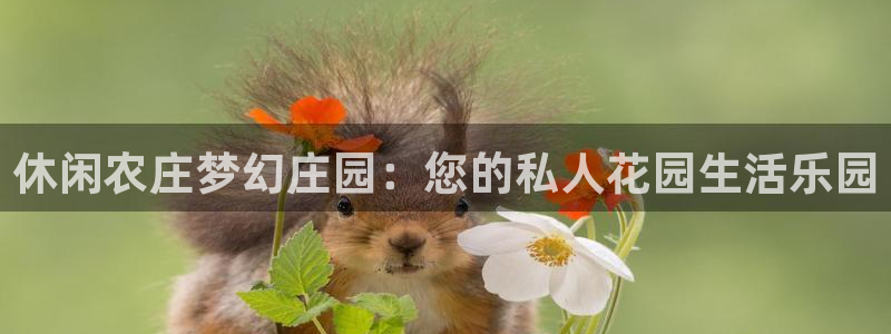 天顺娱乐赂3300