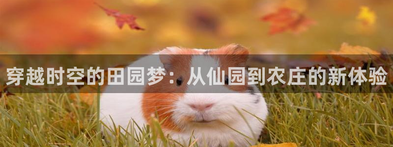天顺娱乐露拘70648
