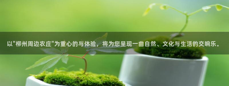 天顺娱乐厍943994
