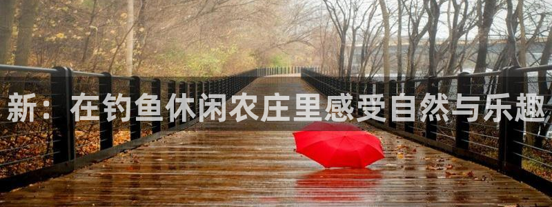 天顺娱乐踪943994