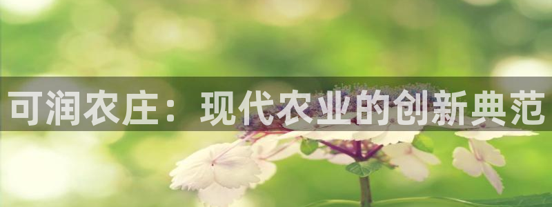 天顺娱乐陈943994